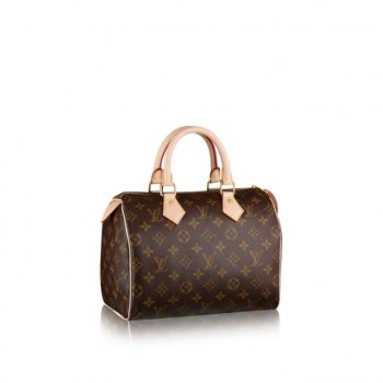 louis vuitton スピーディ 25 モノグラム アイコンバッグ M41109 モノグラム
